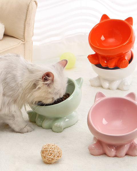 Dogs And Cats Ceramic Bowl